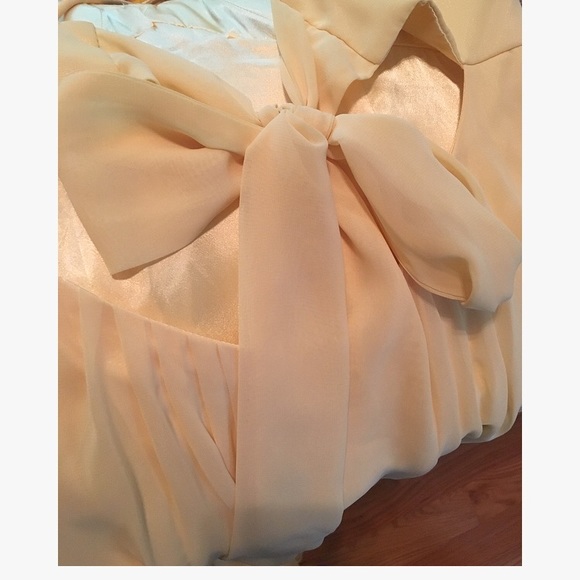 Formal Gown - Picture 4 of 7